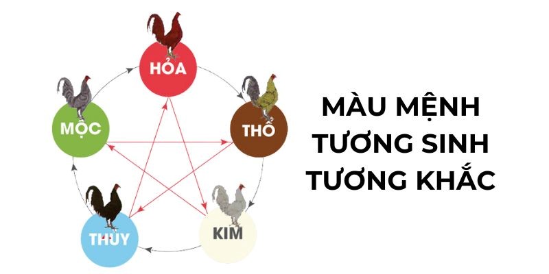 Các màu mạng đá gà phổ biến tại các trường đấu