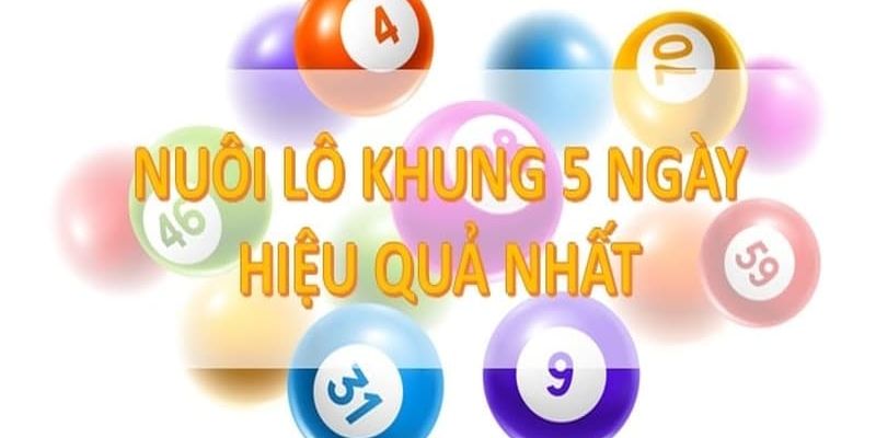 Cách nuôi lô khung 5 ngày nên áp dụng